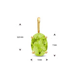 14 Karaat Geelgouden hanger met Geboortesteen Augustus | Peridot | Formaat 5 x 12.5mm