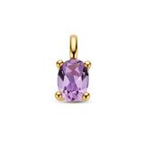 Hanger Amethist 0.65ct, 14 Karaat Geelgoud - formaat 5 x 12 mm